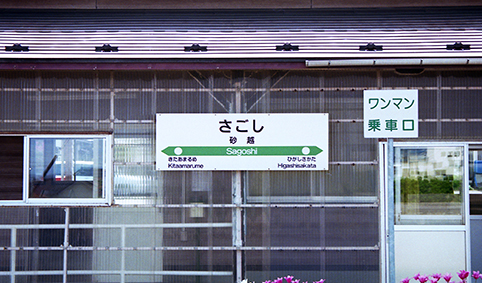 ���z�w���w��