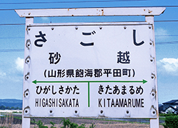 ���z�w���w��