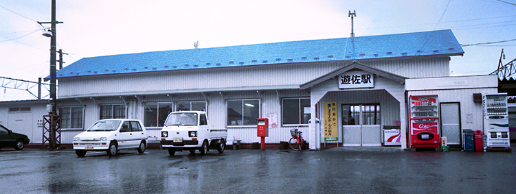 �V���w���w��