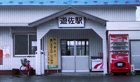 �V���w���w��