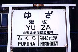 �V���w���w��