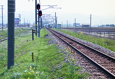 ���V���c�w