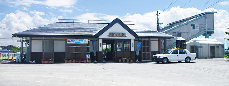 �H�O�����w