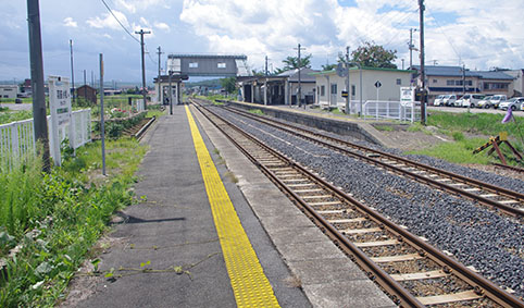 �H�O�����w