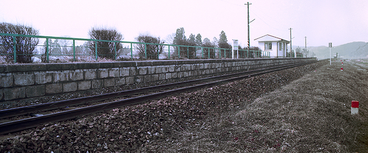 ����o�R�w