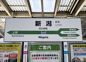 �M�z�� �V���w