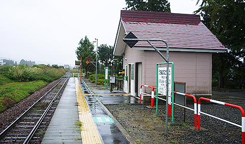 ���������w