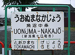 ���������w