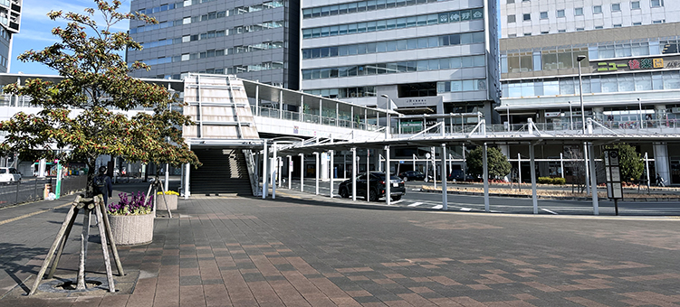 ������ ��t�w