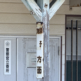 ������ �����w