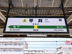 ������ ����w