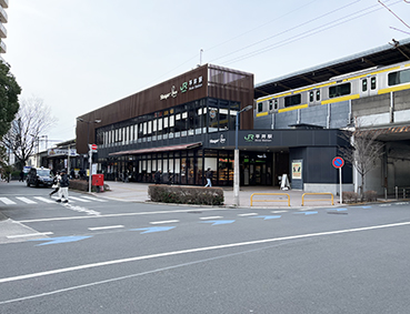 ������ ����w