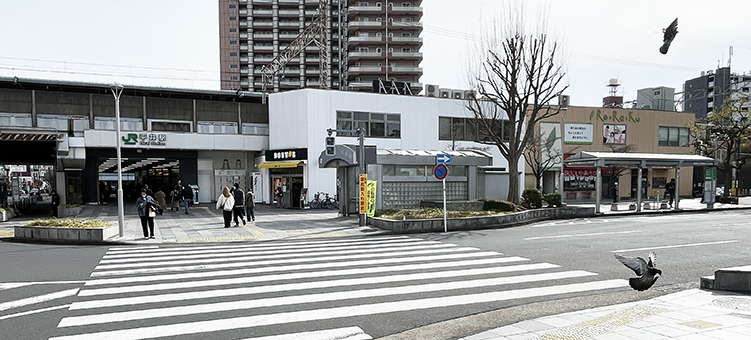 ������ ����w