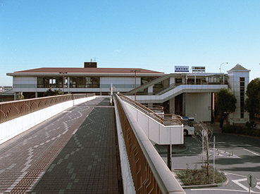 �����{���w