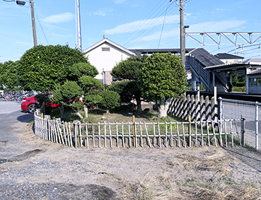 ������ ���݉w