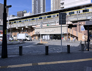 ������ �{�����w