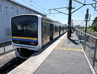 ������ �����w