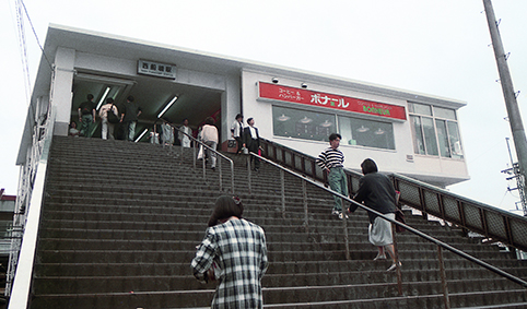 ���D���w