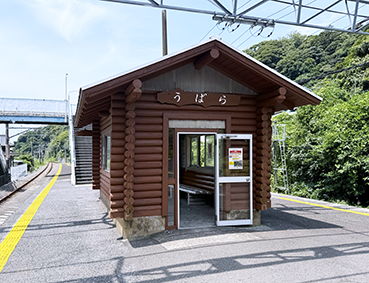 �O�[�� �L���w