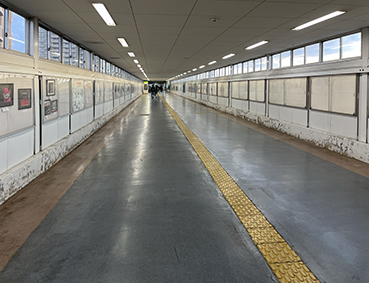 ���[�� �N�Éw