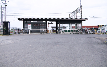 �����L���w