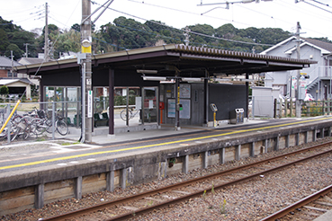 �����L���w