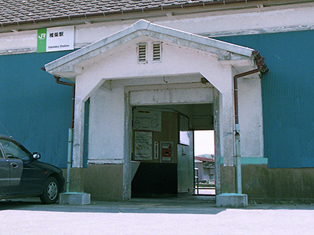 �Ŏĉw ���w��