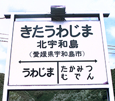 �k�F�a���w