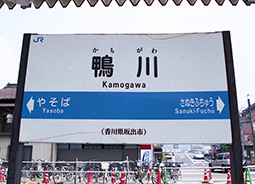 ����w�@���w��