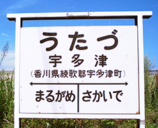 �F���Éw�@���w��