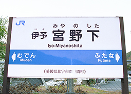 �ɗ\�{�쉺�w