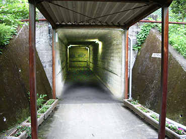 �y���吳�w