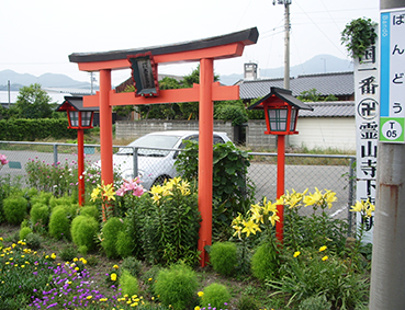 ������ ���w