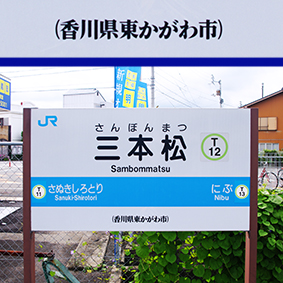 ������ �O�{���w