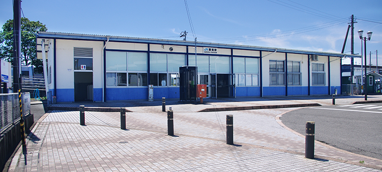 ������ �����w