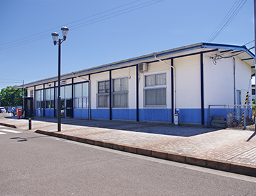 ������ �����w