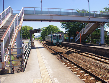 ������ �����w