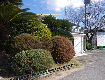 ������ ���c�w