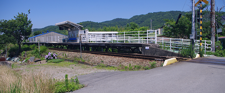 ���g��J�w