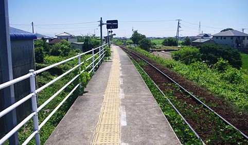 ���g��J�w