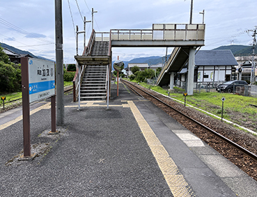 ������ ���g���Ήw