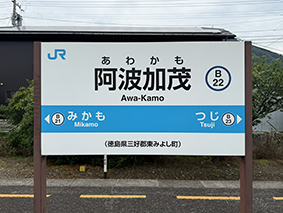 ������ ���g���Ήw