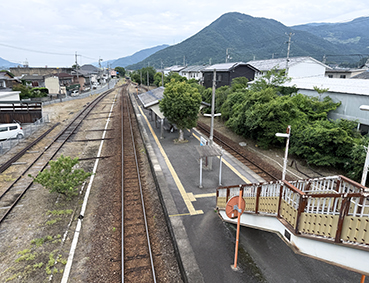 ������ ���g���Ήw