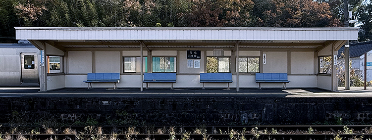 ������ ���g�쓇�w