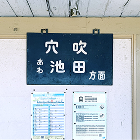 ������ ���g�쓇�w