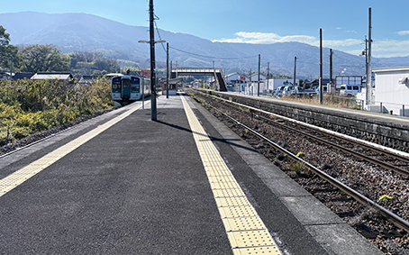 ������ ���g�쓇�w