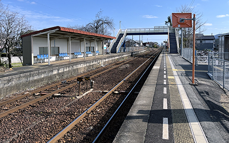 ������ �{���w