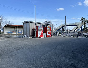 ������ �{���w