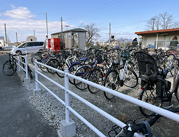 ������ �{���w