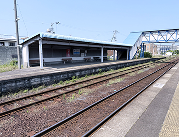 ������ ���{�w